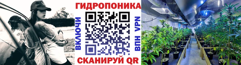 Как найти наркотики Суровикино Псилоцибиновые грибы Мефедрон ГАШИШ
