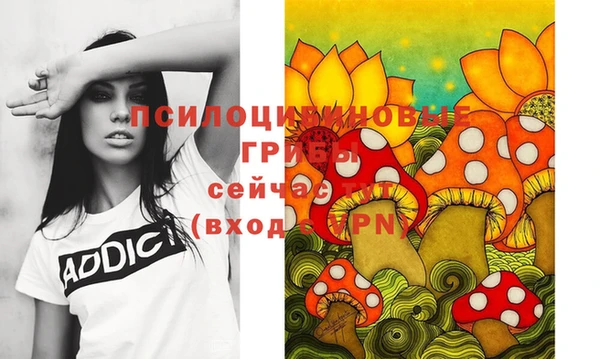гидропоника Армянск