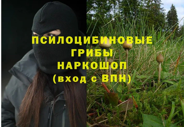 сатива Карталы