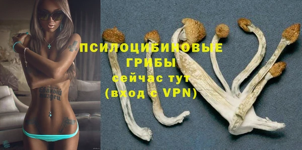гидропоника Армянск