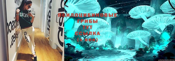 гидропоника Армянск