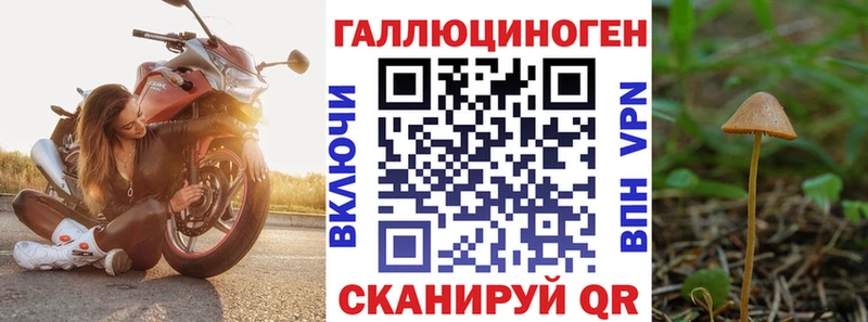 Галлюциногенные грибы MAGIC MUSHROOMS  Суровикино 